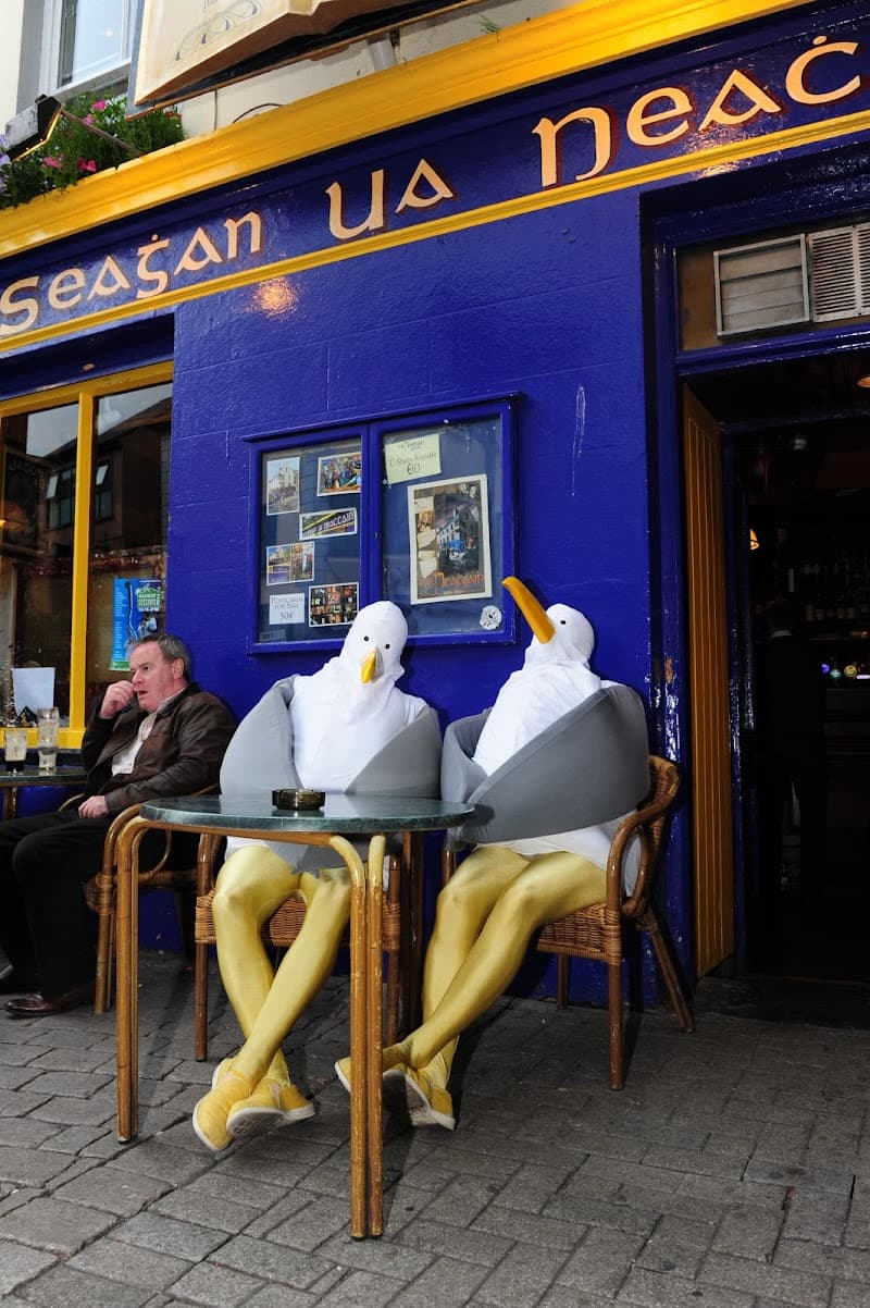 Tigh Neachtain — Irish pub in Galway
